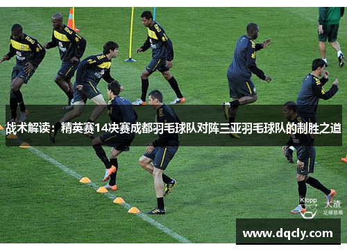 战术解读：精英赛14决赛成都羽毛球队对阵三亚羽毛球队的制胜之道
